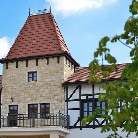 Hotel Castel Royal Mosnita Noua